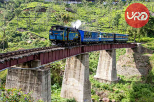 Southern Delight: Mysore and Ooty Tour Packages - SouthIndia Tour Package