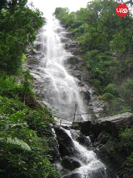 4Days -Coorg,Iruppu Falls Package