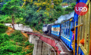 Discover Nature's Symphony: Coorg and Ooty Tour Package -SouthIndia Tour Package