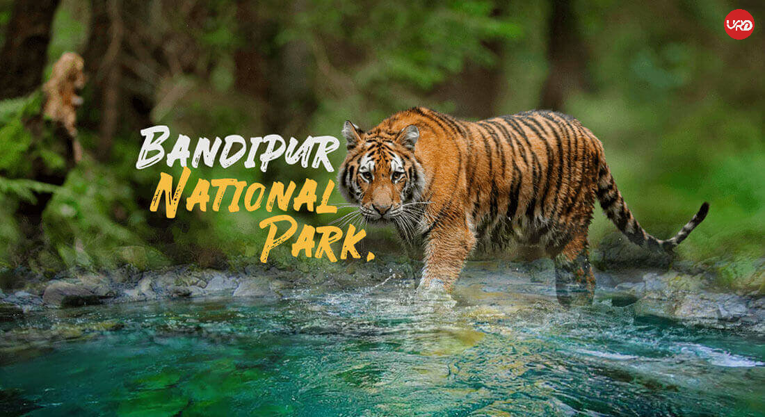 Unwind in Southern Paradise: Coorg, Mysore, Bandipur, Ooty Tour Package-SouthIndia Tour Package