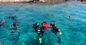 Discovering Paradise: Unveiling the Best of Port Blair, Havelock, and Neil Island with the Perfect Tour Package