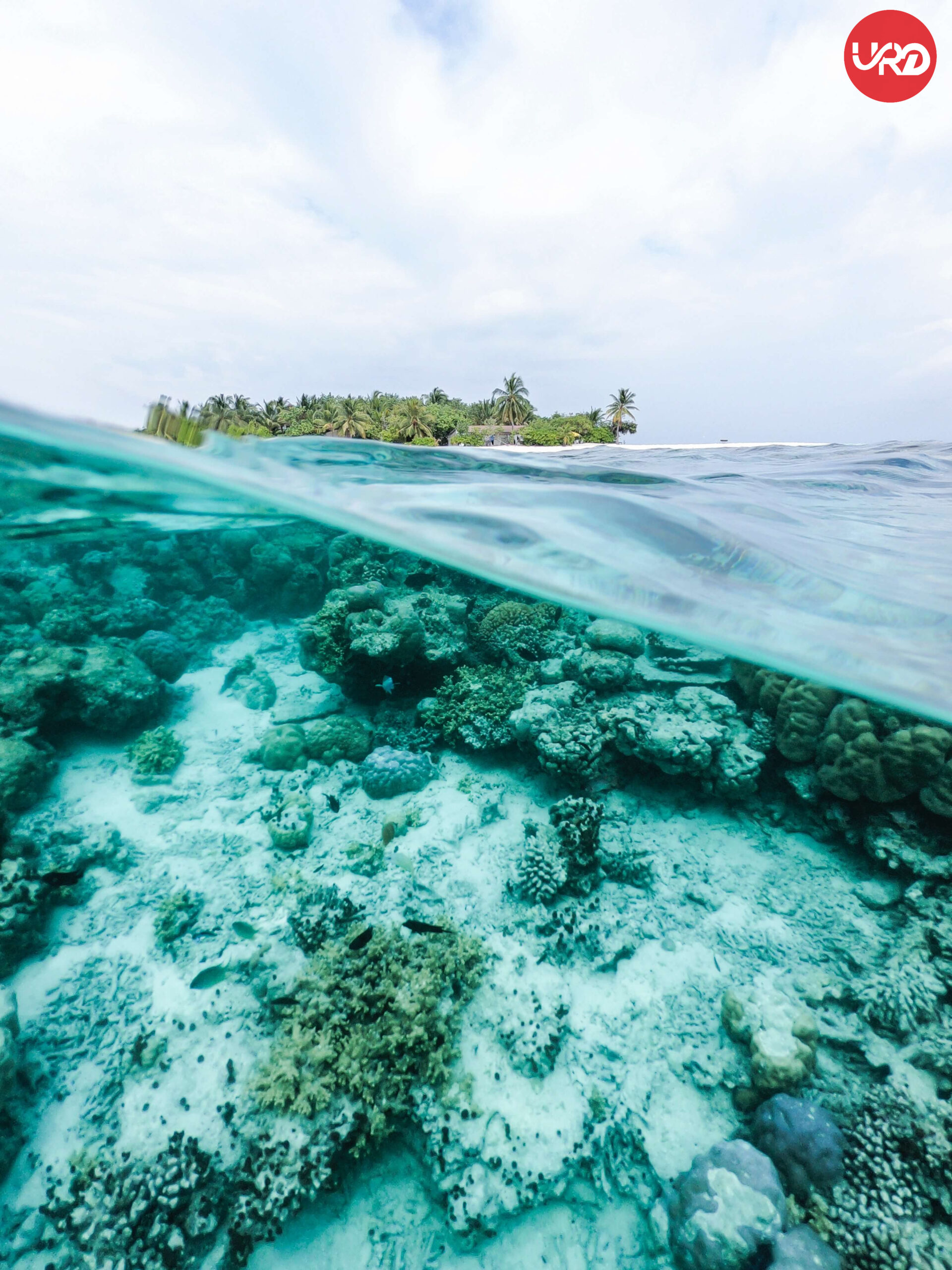 Island Bliss: Port Blair, Havelock, Neil  Retreat Andaman Tour Package