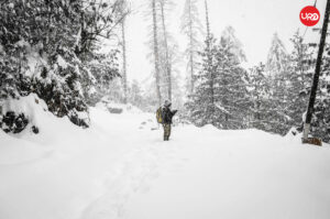 Experience the Essence of Himachal: Manali, Shimla, Chandigarh, and Amritsar Getaway Himachal Tour Package