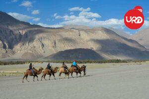 Ladakh Odyssey: Leh, Nubra Valley, Pangong Lake Discovery Ladakh Tour package