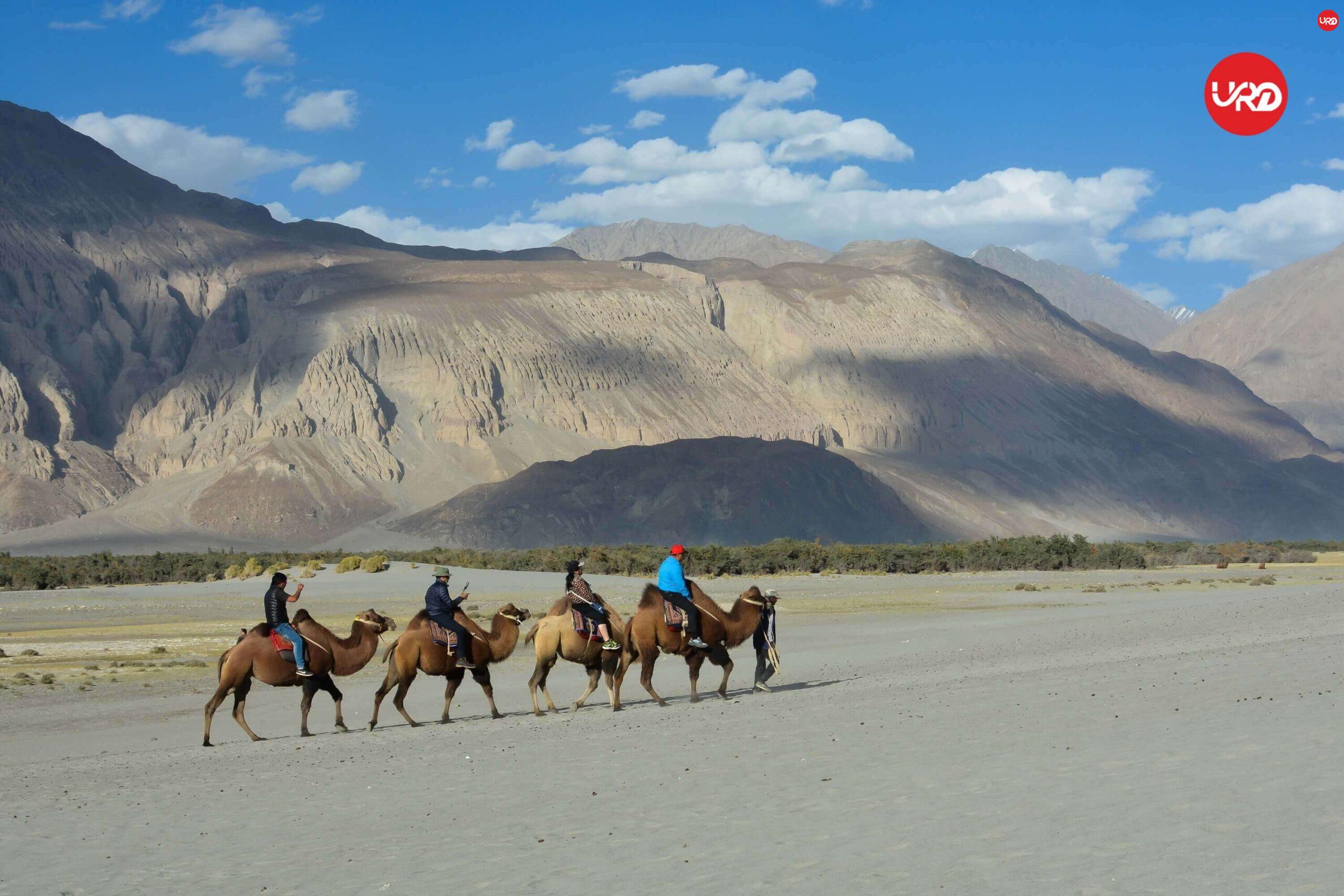 Ladakh Odyssey: Leh, Nubra Valley, Pangong Lake Discovery Ladakh Tour package