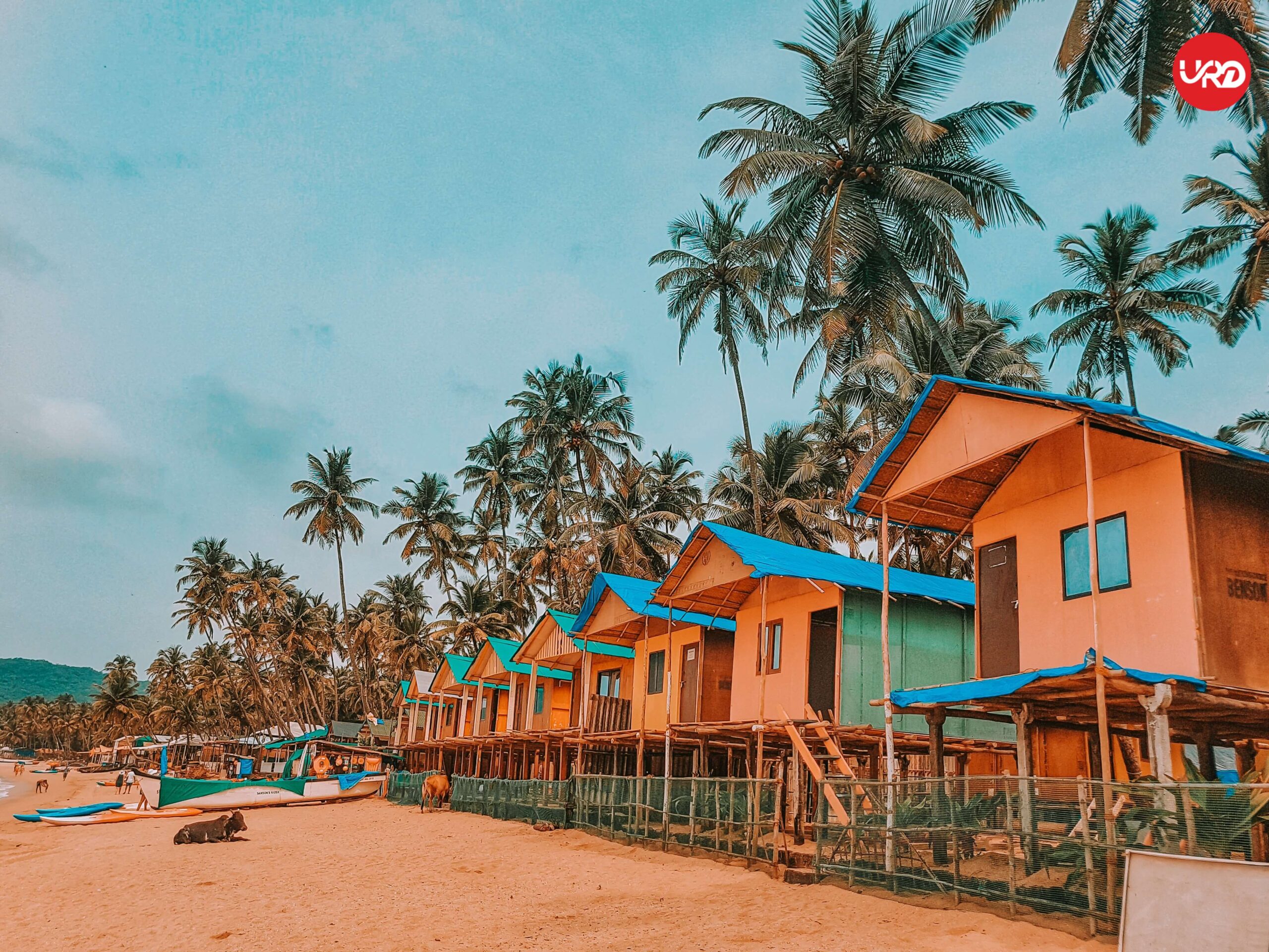 "South Goa Unexplored: Your Gateway to Ultimate Relaxation Goa Tour Package   "