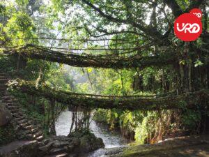 Meghalaya Marvels: Shillong & Cherrapunji Expedition Meghalaya Tour Packages