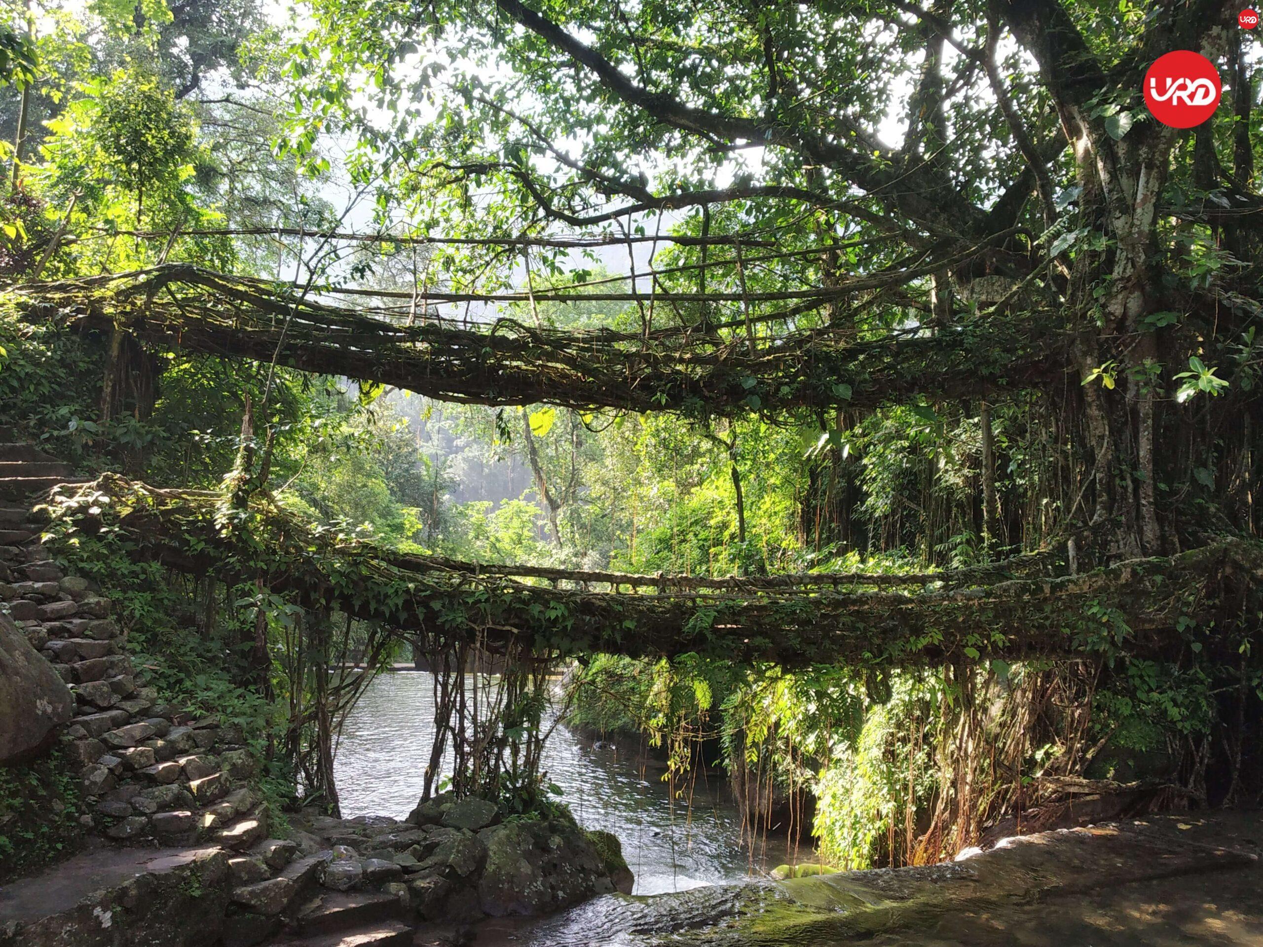 Meghalaya Marvels: Shillong & Cherrapunji Expedition Meghalaya Tour Packages