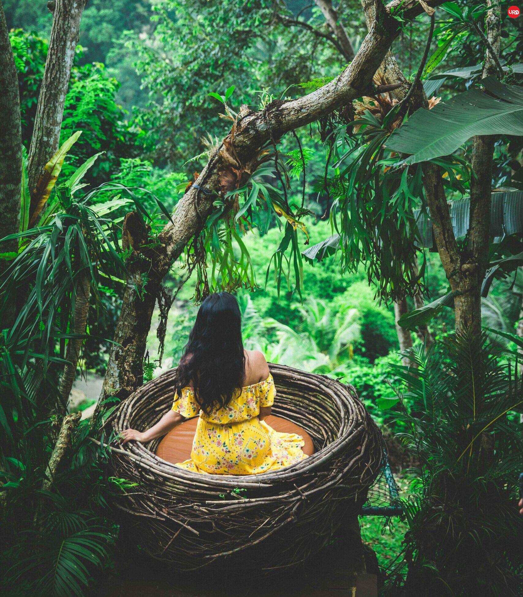 Plan Your Perfect Escape with Bali Tour Packages