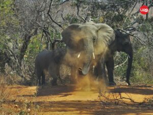 Tropical Bliss in Sri Lanka: Best vacation to Sri Lanka Tour Packages