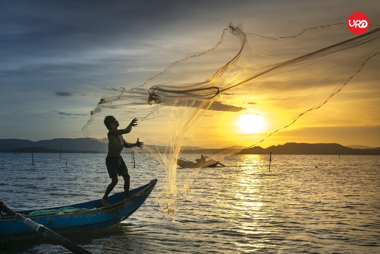 From Beaches to Mountains: Sri Lanka Tour Packages