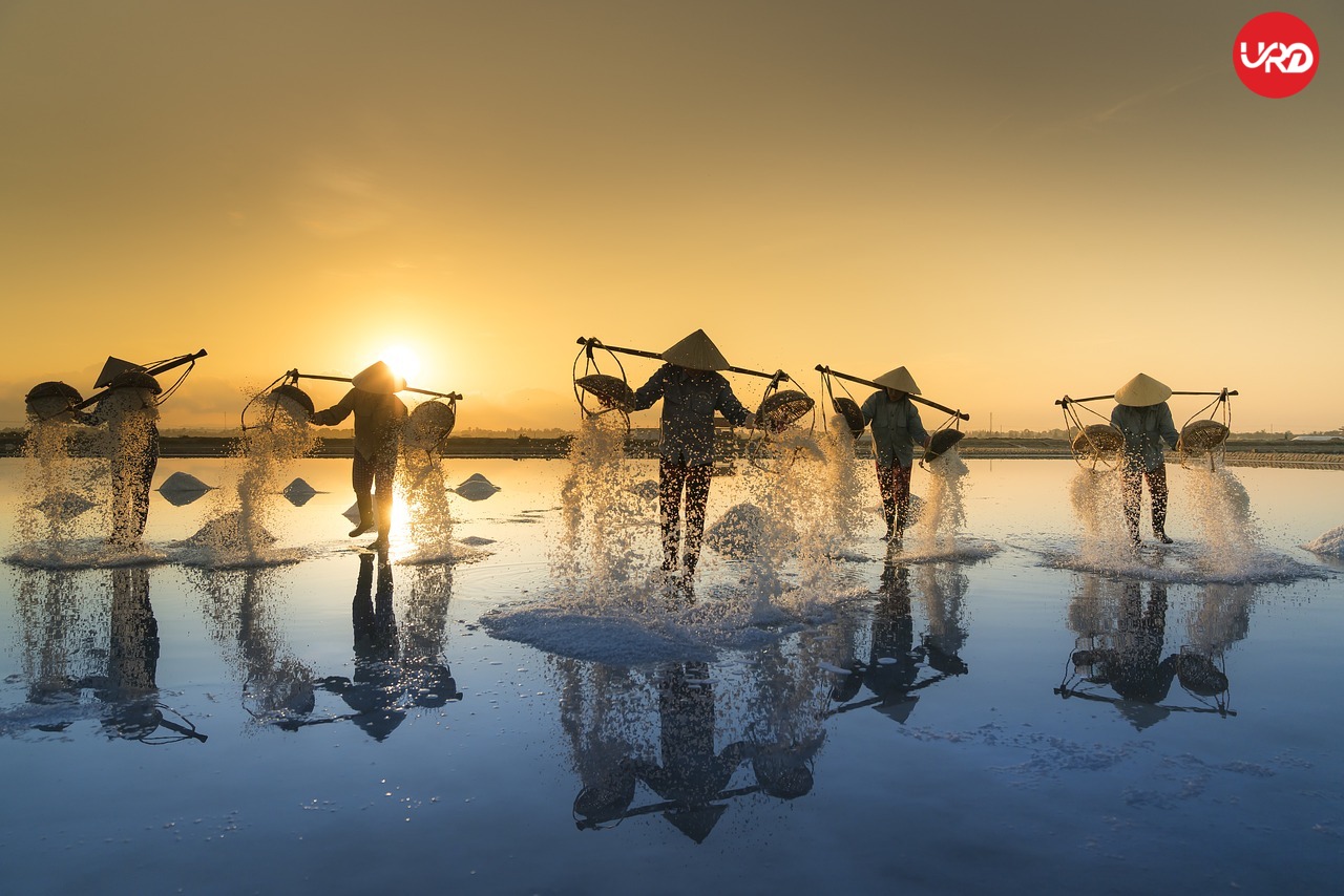 Dive Into Vietnam’s Wonders: Handpicked Vietnam Tour Packages