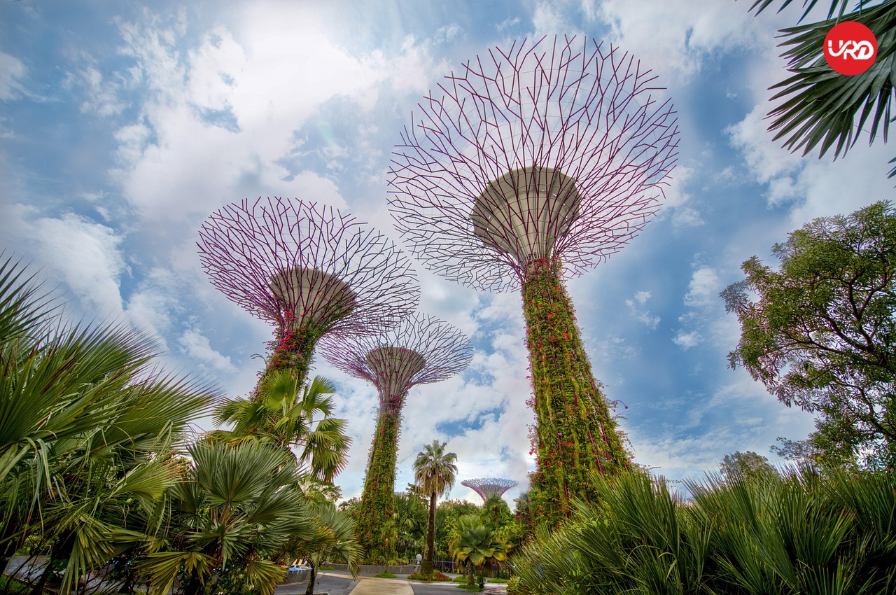A Fusion of Cultures, One Epic Trip –  Singapore and Malaysia Tour Packages