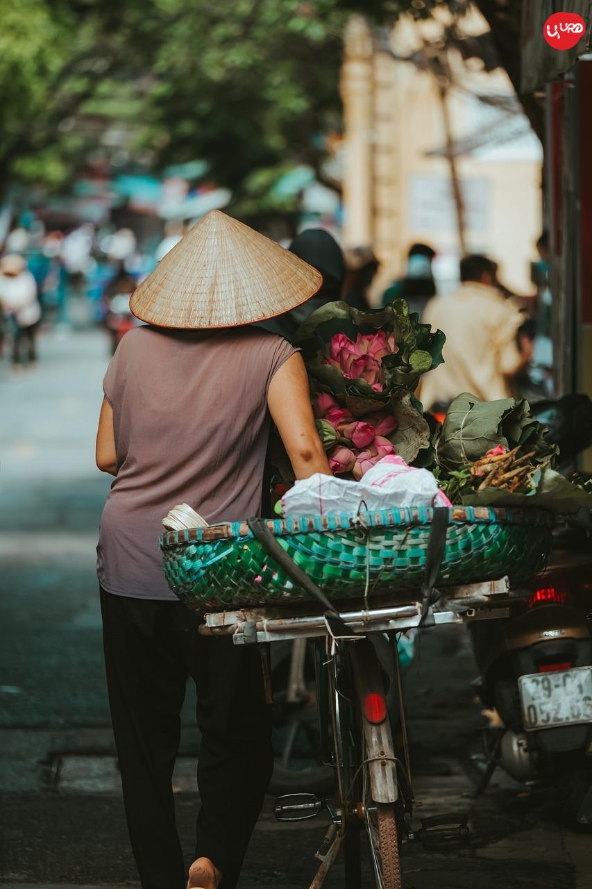 “Essence of Vietnam – 8 Days from Hanoi to Ho Chi Minh”