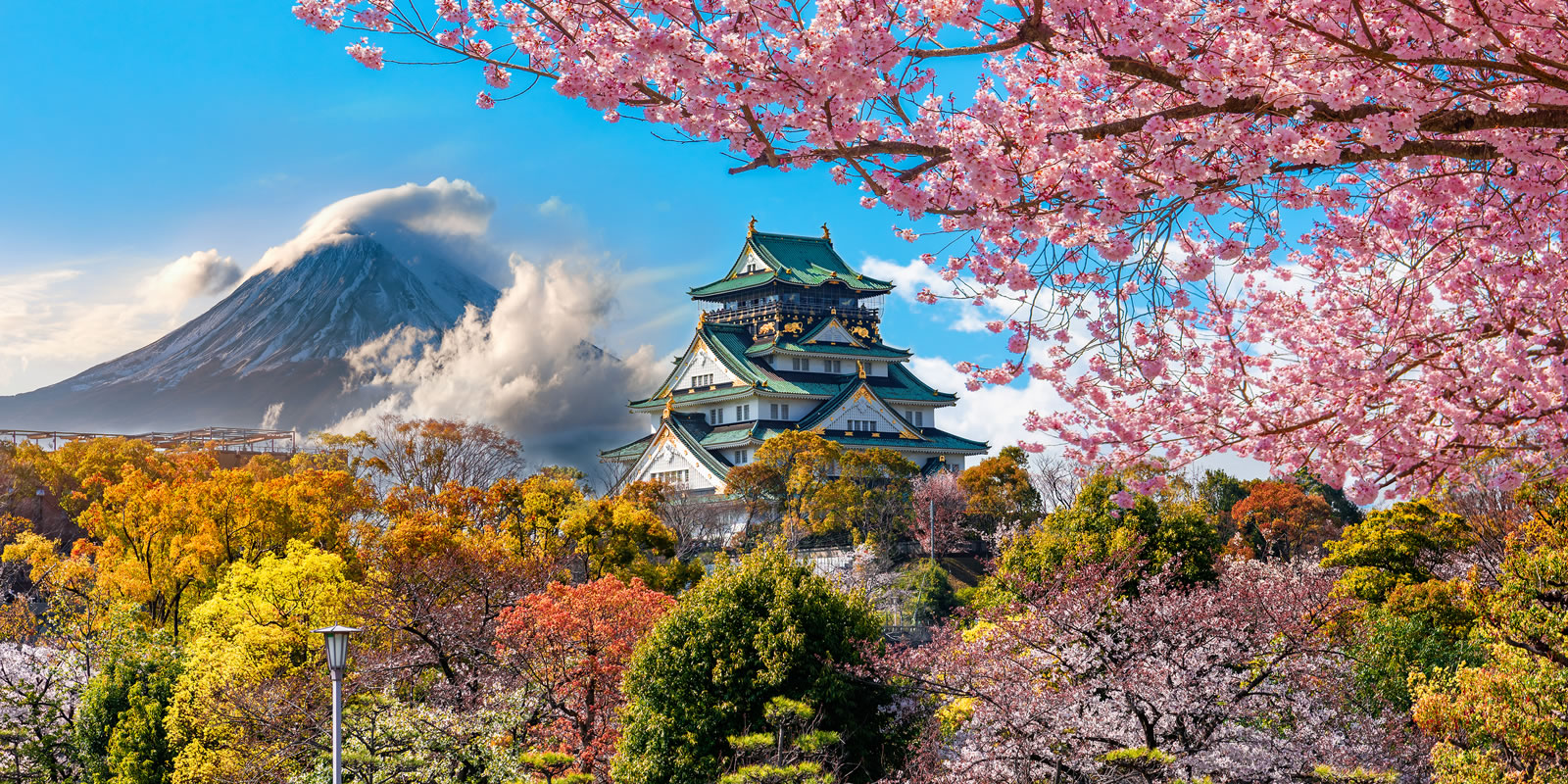 "Japan in a Nutshell – 5 Days of Timeless Beauty & Tradition"
