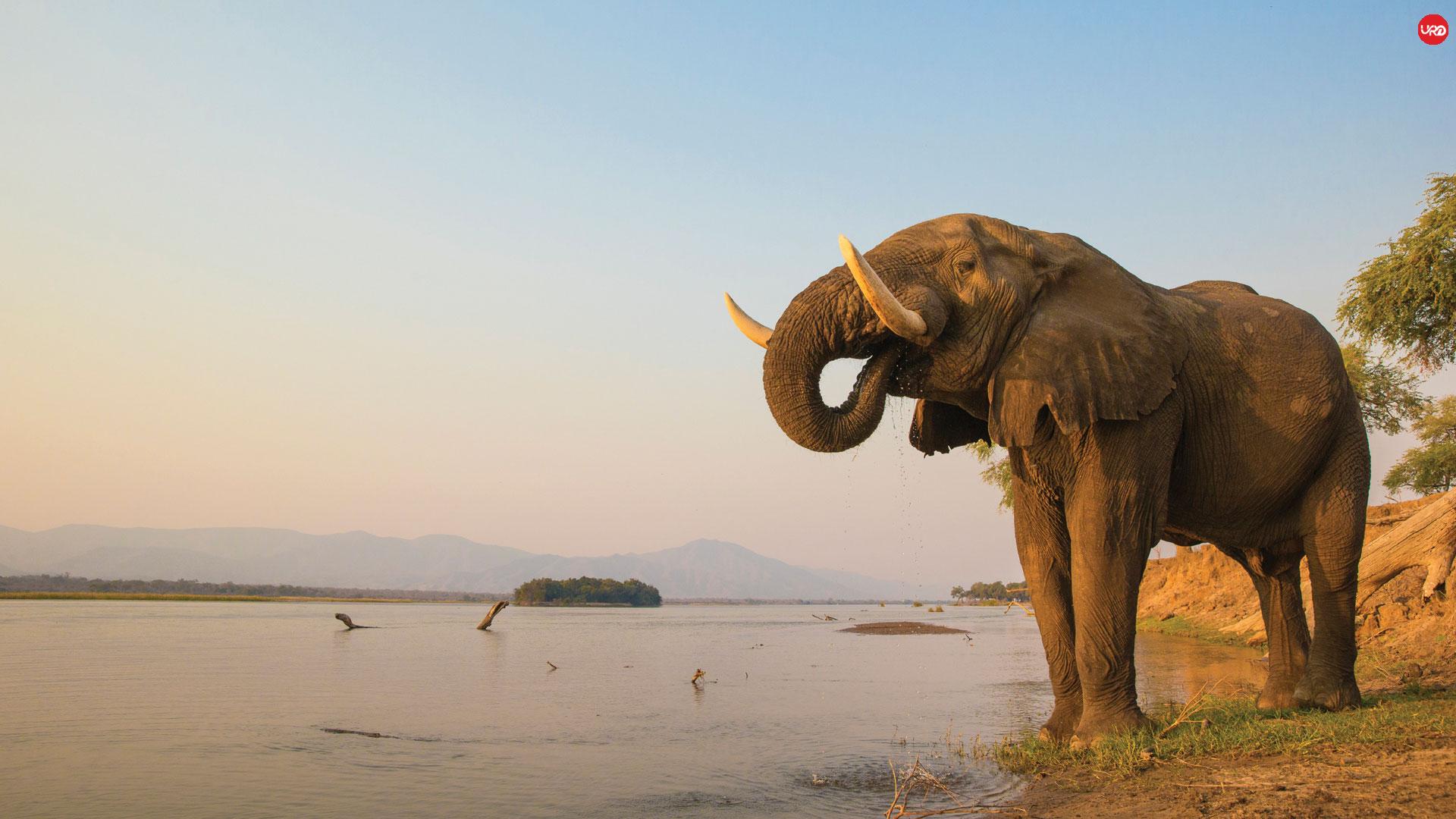 "Wonders of Zimbabwe – 15 Days of Falls, Parks & Traditions"